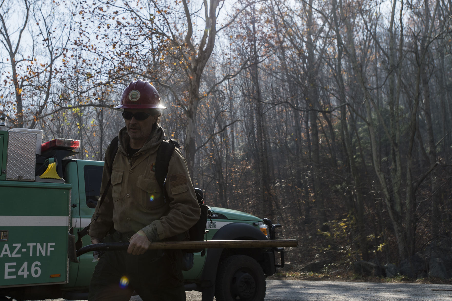 Forest Fire